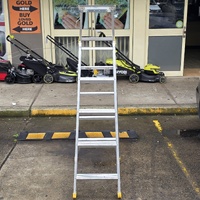 Bailey FS14176 Contractor 6 Dual Purpose Leansafe Ladder
