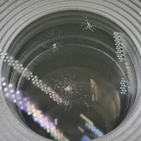 Canon EF-S 55-250mm f/4-5.6 IS STM Lens FUNGUS FAULTY Parts Repair No Returns