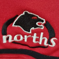 Home Run Bears Baseball Team Jersey Red #24 Strikers Norths Australia