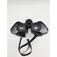 Birnie 10x50 Vintage Binoculars Coated Lenses 5° Field Black with Brown Case