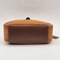Coach Hadley Mini Crossbody Bag Signature Suede Leather CCE16 Caramel Brown