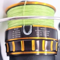 Daiwa BG2500 Spinning Fishing Reel Bearings Air Rotor Black Gold