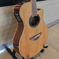 Yamaha APX700 NT Acoustic Guitar Natural Tuner w/ Ashton Hard Case
