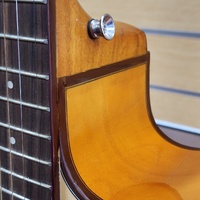 Tribute TRI-1CE Semi-Acoustic Cutaway Guitar Steel String Tuner Brown