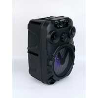 NEW SING-E LED Flashing Light Portable Subwoofer Party Karaoke Speaker + Mic