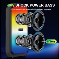 DJ Powered Karaoke Party Bluetooth Super Bass Dual 8 Inch 60W Speaker RGB Light