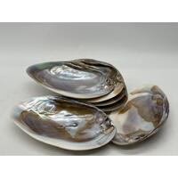 Mother of Pearl Set 6 Plates and 7 Cocktail Forks Collectable Set with Box