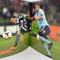 Games Goals Glory A-League Teams Players Coaches Moments Hardcover Roy Hay