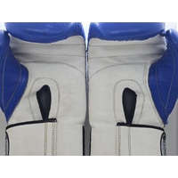 Punch Equipment 16oz Trophy Getters Commercial Boxing Gloves Blue