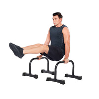 Celsius Cross Training Parrallette Pair