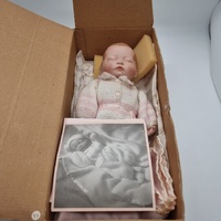 The Ashton Drake Galleries Collection Beautiful Newborn Claudia Doll