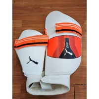 Puma Mens Senior Evo Cricket Gear Pads Gloves Thigh Guard and Masuri Helmet