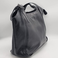 Evity Black Leather Ladies Handbag