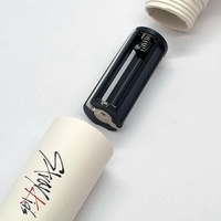Stray Kids Official Light Stick Ver. 2 K-Pop Concert Glow Fanlight