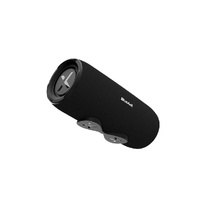 BlueAnt X3i Portable 30 Watt Bluetooth Speaker IP67 Waterproof Black