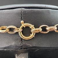 Ladies 9ct Yellow Gold Oval Belcher Link Necklace