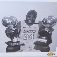 Large View Shaquille O'Neal Lakers Framed Art 93x40cm Wicked NBA Memorabilia