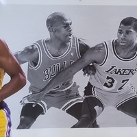 Large View Magic Johnson LA Lakers Wings Tribute Framed Memorabilia 93cm x 40cm