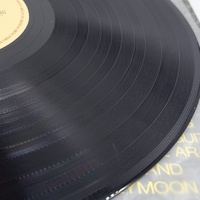 The Very Best Of Manuel And The Music Of The Mountains Vinyl Record