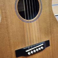 Martin LX1E Little Martin Modified 0-14 Fret Acoustic Electric Guitar with Case