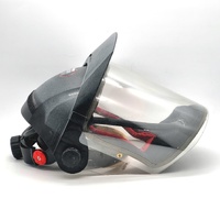 Devilbiss PROV-650 Pro Visor Air Fed Paint Mask with Filter Waist Belt