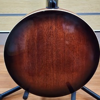 Tennessee 5 String Bluegrass Banjo Remo Head Nato Neck 22 Frets Resonator