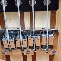 Magna 4 String Maple Ash Electric Bass Guitar with Hard Case