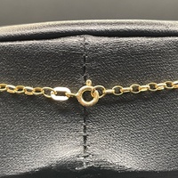 Ladies 9ct Yellow Gold Belcher Link & Purple Pendant