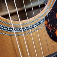 Maton Troubadour Dreadnought AP5 Pro Acoustic Electric Guitar and Case