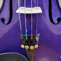 Stentor Harlequin 1/2 Size Violin Outfit Purple with Case and Bow