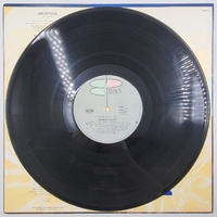 Robert Plant Now and Zen 1988 Vinyl Record LP Classic Rock Album 12" Analog Stereo Collectible