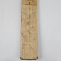 SS Sareen Sports TON Special Edition English Willow Cricket Bat SH