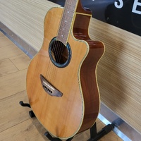 Yamaha APX700 NT Acoustic Guitar Natural Tuner w/ Ashton Hard Case