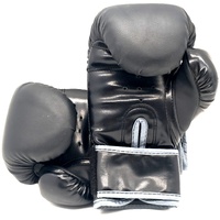 Everlast Junior Training Boxing Gloves Black 6oz Youth