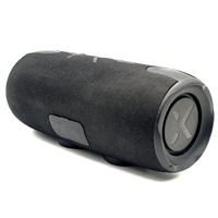 BlueAnt X3i Portable 30 Watt Bluetooth Speaker IP67 Waterproof Black