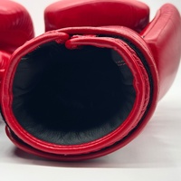 Fairtex BGV1 16oz Tight Fit Boxing Gloves Red Genuine Leather Thailand