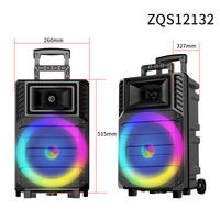 NEW 12 inch 40W High Power Portable Party Trolley Subwoofer Speaker by Sing-E