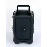 NEW SING-E LED Flashing Light Portable Subwoofer Party Karaoke Speaker + Mic