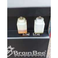 Brain Bee 6000 Plus Automotive Gas Regulator High-Performance Pressure Control