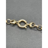 Ladies 9ct Yellow Gold Belcher Link Necklace