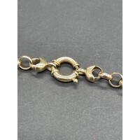 Ladies 9ct Yellow Gold Belcher Link Necklace (Pre-Owned)