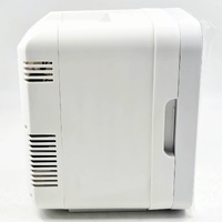Portable Mini Makeup & Cosmetic Fridge Cooler Warmer LED Mirror 4L 12V DC Skincare Refrigerator