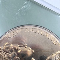 New Zealand Day Commemorative Dollar Coin Collectible Currency