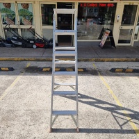 Rhino DDP06-150 Dual Purpose Ladder 1.8m-3.3m 150kg Industrial Grade