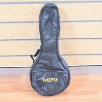 Bryden SMA10 Beginner Mandolin Tobacco Sunburst with Soft Case and Strap