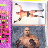 1998 Panini WCW nWo Superstars Photocard Collector Album Incomplete Wrestling Card Binder