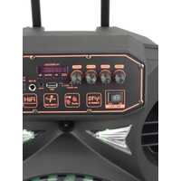 Bluetooth Karaoke Party Speaker 12 inch on wheels + Mic USB TF card Remote Control NEW