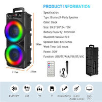 Dual 8.5'' Bluetooth Karaoke Party Speaker & Mic 1 Year Warranty NEW