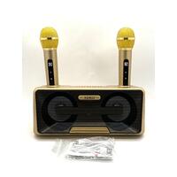 NEW SD301 Karaoke Bluetooth Speaker Dual Wireless Microphone Portable Speaker System