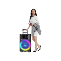 NEW 12 inch 40W High Power Portable Party Trolley Subwoofer Speaker by Sing-E